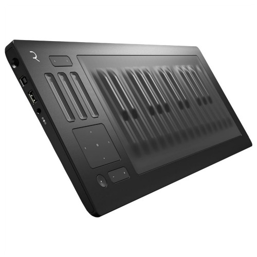 Roli Seaboard Rise 25